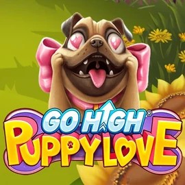 Play Go High Puppy Love slot by RubyPlay on www.slotmonster.casino