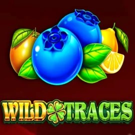 Official Slots logo: Wild Traces by Amusnet Interactive at Slot Monster Casino